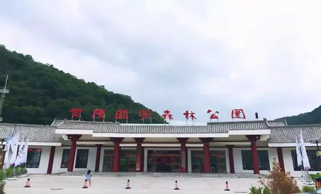 青少年篮球选手的心态管理技巧_1
